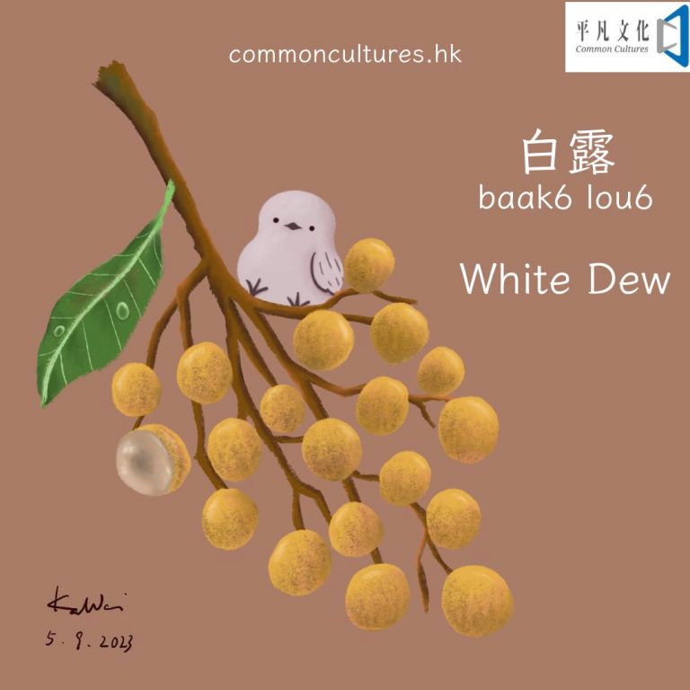 【白露】White Dew